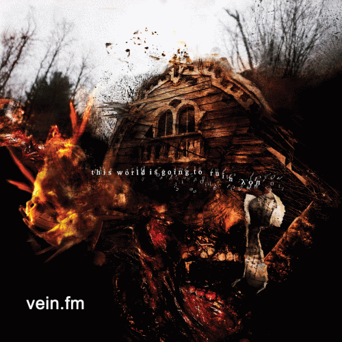 Vein (USA-2) : This World Is Going to Ruin You